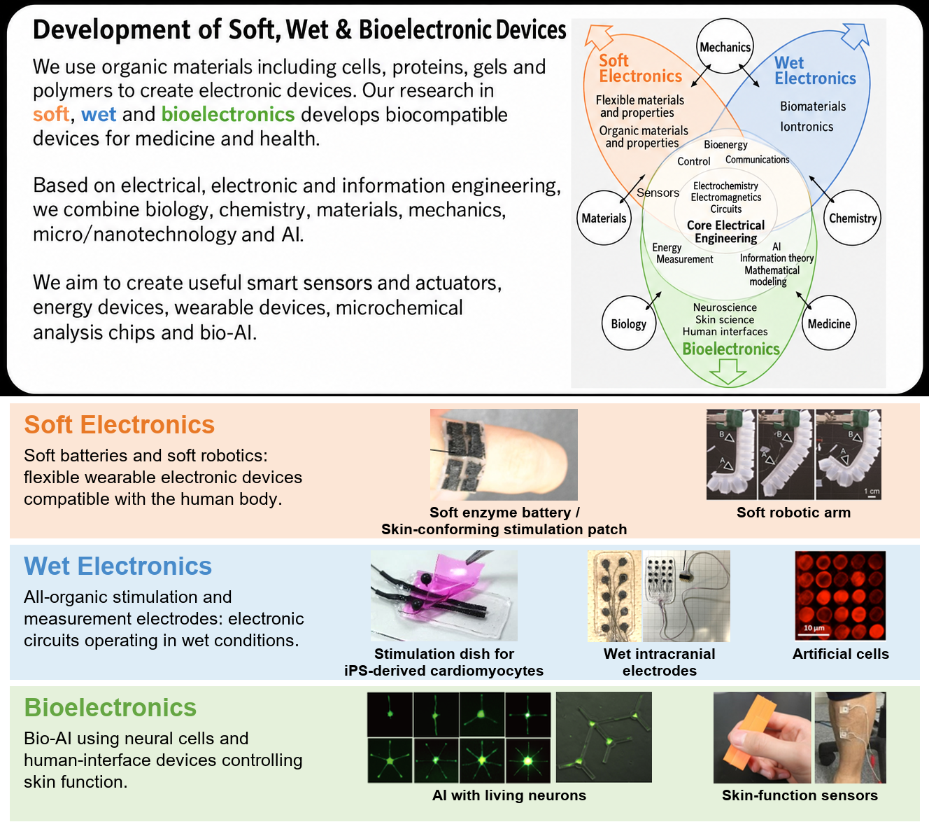 Overview of soft, wet and bioelectronics research with original experimental photographs