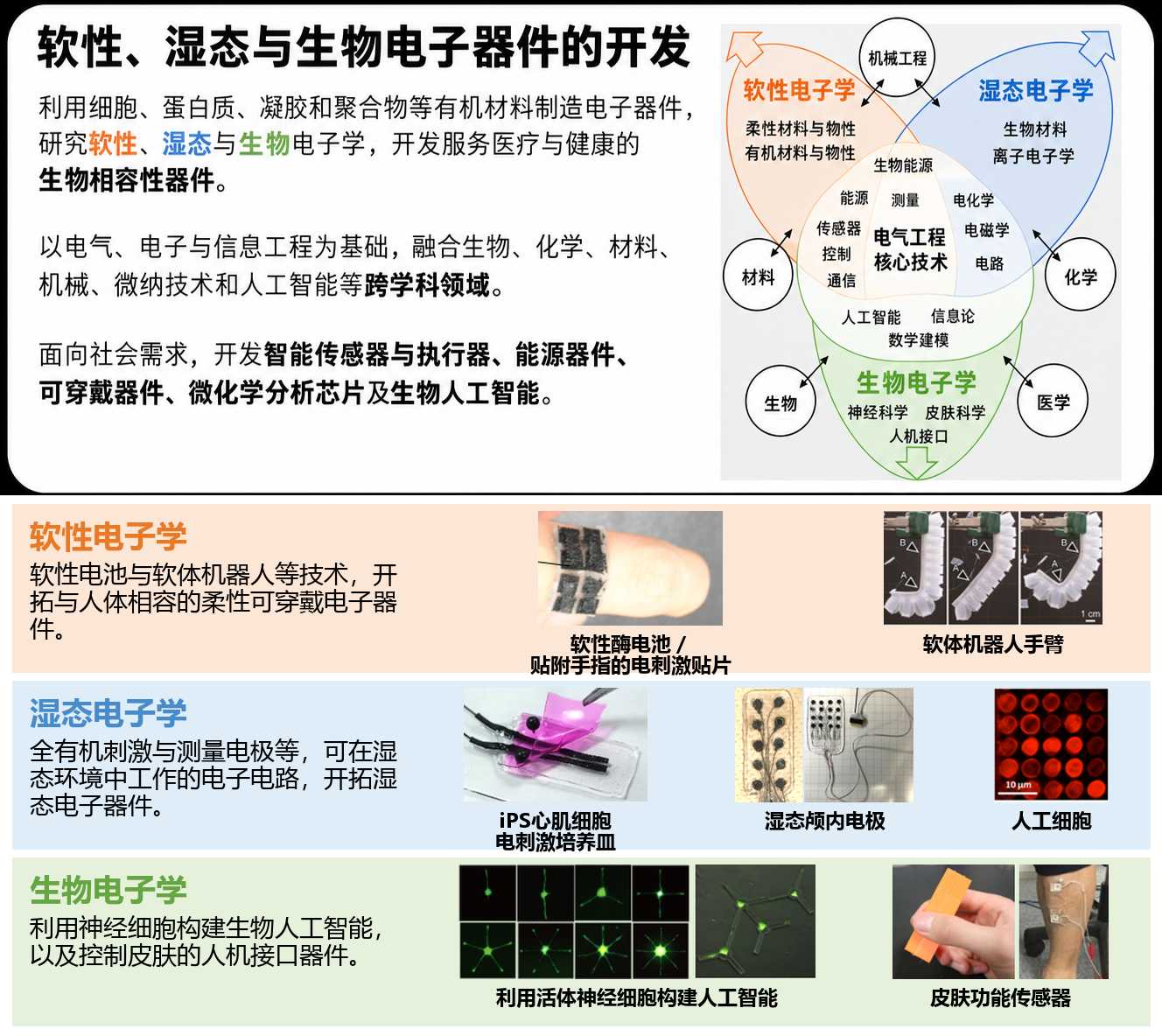 软性、湿态与生物电子学研究概要及原始实验照片